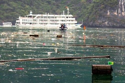 Du khách lắc đầu khi thấy rác thải bủa vây vịnh Hạ Long