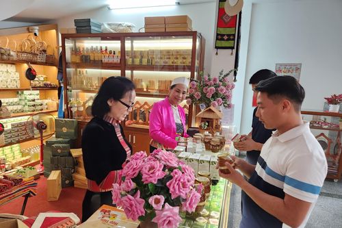 Hoa Đất Mường – hội tụ các sản phẩm OCOP của Hòa Bình