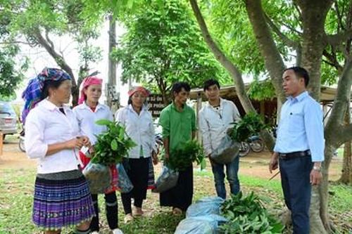 Hồi âm vệt bài: 'Vì sao nghị quyết thì hay, thực hiện lại 'gay trăm bề'?-Nhiều việc cấp thiết phải tháo gỡ, khắc phục