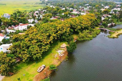 Lễ hội 'Tam Kỳ - Mùa hoa sưa 2023': Hứa hẹn ấn tượng với nhiều cung bậc cảm xúc