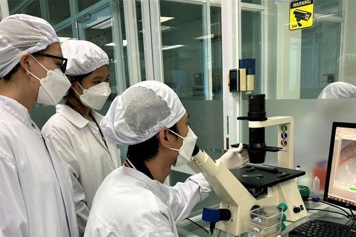 Đại học Quốc gia TPHCM: Tiên phong thí điểm đào tạo song ngành