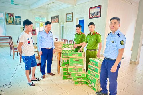Tuyên Quang thu giữ lô hướng dương không rõ xuất xứ