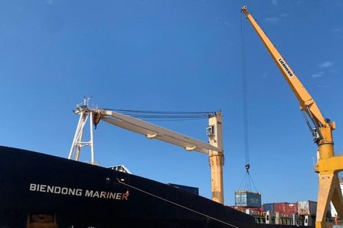 Tuyến vận tải container quốc tế qua cảng Cửa Lò bị ngừng do đâu?