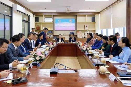 Mặt trận Tổ quốc TP.HCM tăng hợp tác với Mặt trận các địa phương Lào