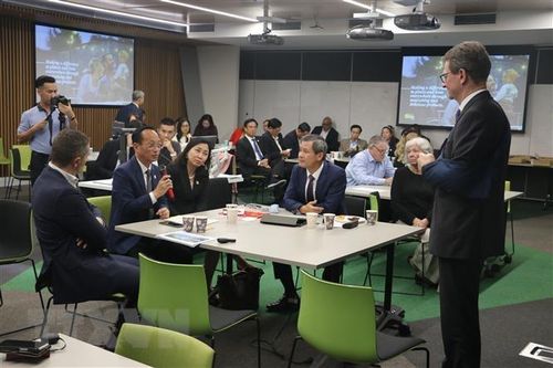 Kết nối tỉnh Hà Nam và Bạc Liêu với các đối tác Australia
