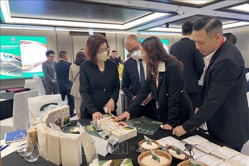 Tăng năng lực cạnh tranh của gạo Việt Nam chất lượng cao ở thị trường Hong Kong