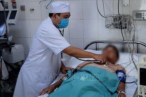 Cứu sống bệnh nhân cao tuổi bị ong vò vẽ đốt trên 70 vết