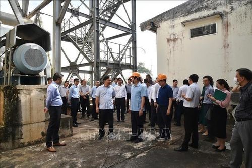 Đề xuất chấm dứt dự án Nhà máy bột giấy Phương Nam