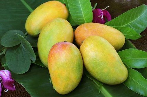 Những kiểu người nên cẩn thận khi ăn xoài
