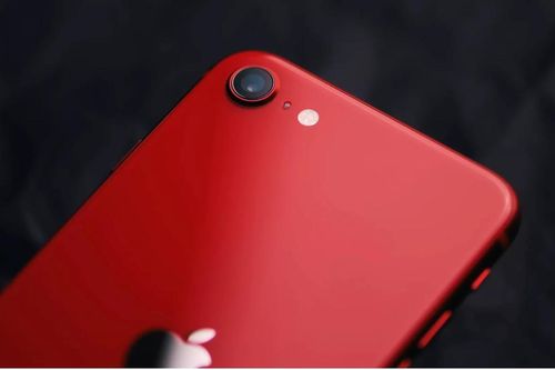 iPhone SE 4 có thể đã bị khai tử