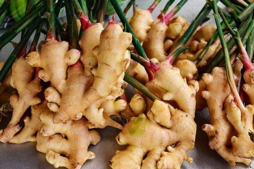 4 cách dùng gừng để tăng cường sức đề kháng khi giao mùa