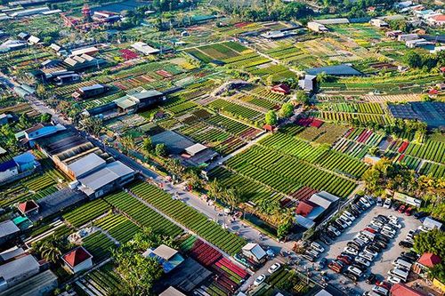 Tập trung các nguồn lực đẩy mạnh phát triển kinh tế - xã hội