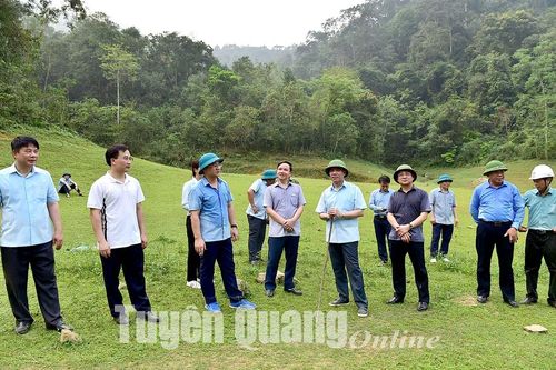 Đồng chí Bí thư Tỉnh ủy khảo sát và kiểm tra tiến độ thi công công trình giao thông tại huyện Lâm Bình
