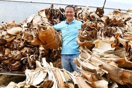 Mo cau cả làng vứt vạ vật, nay thành hàng sang xuất Mỹ, Canada