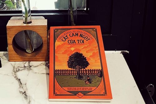 Tôi khóc lên khóc xuống khi đọc 'Cây cam ngọt của tôi'