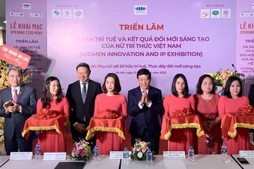 Hỗ trợ nữ trí thức phát triển giá trị các tài sản trí tuệ