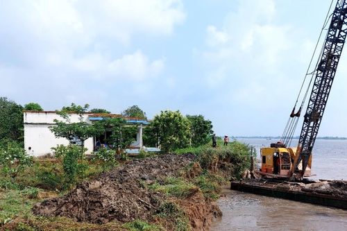 Vĩnh Long: Sạt lở ở cồn Thanh Long đe dọa 17ha cây ăn trái