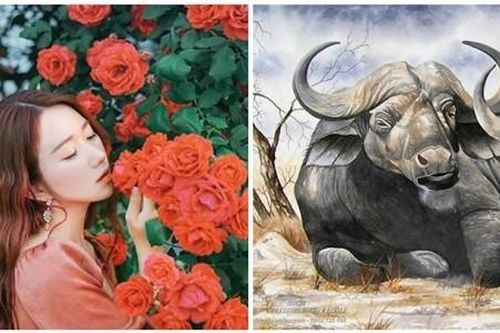 Đầu tháng 5/2023: Bốn con giáp đa phúc đa lộc, đường đời tươi sáng