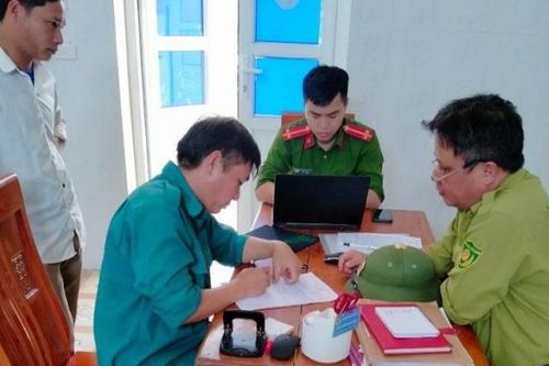 Phát hiện đối tượng chặt phá rừng tự nhiên để trồng keo ở Hà Tĩnh