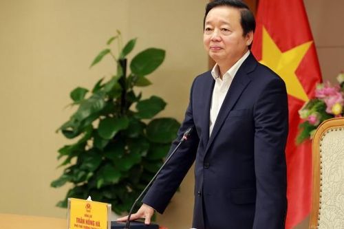 Xây dựng Đề án khắc phục ngay những điểm nghẽn trong nghị định, thông tư về giáo dục