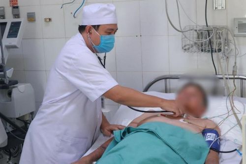 Cụ bà 81 tuổi nhập viện nguy kịch do bị ong đốt hơn 70 nốt