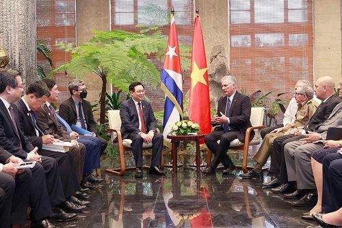 Việt Nam đoàn kết và ủng hộ trước sau như một với sự nghiệp chính nghĩa của Cuba