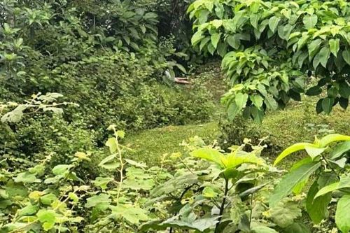 Phát hiện thi thể người đàn ông dưới cầu