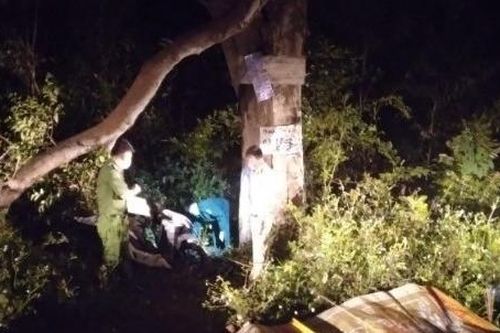 Phát hiện hai thanh niên tử vong dưới gốc cây ven đường