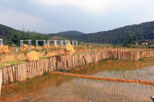Kon Tum: Kon Plông lập Tổ công tác đặc biệt xử lý vi phạm về đất đai