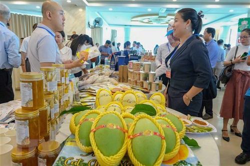 Doanh nghiệp hai nước Việt Nam-Trung Quốc kết nối giao thương