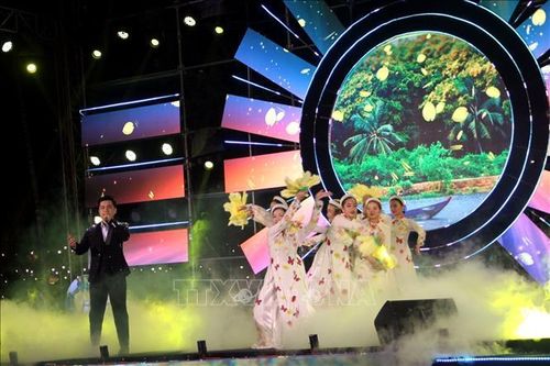 Khai mạc lễ hội 'Tam Kỳ - mùa Hoa sưa' năm 2023