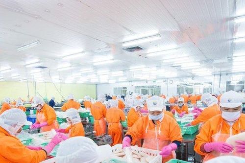 Lợi nhuận của Thủy sản Nam Việt lao dốc