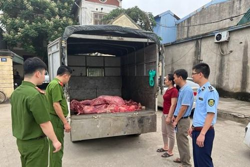 Ngăn chặn kịp thời 230 kg thịt lợn trong quá trình phân hủy