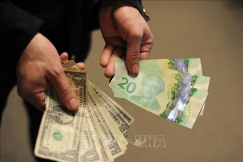 BoC: Fed tăng lãi suất không ảnh hưởng đến đồng CAD
