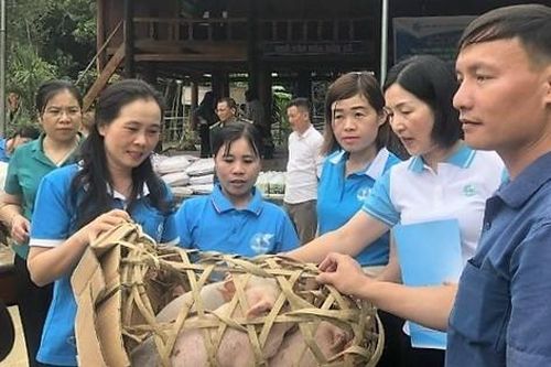 Thanh Hóa: Thay đổi tư duy lao động cho bà con vùng dân tộc thiểu số và miền núi qua các mô hình sinh kế