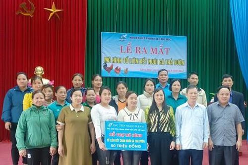 'Tổ liên kết nuôi gà thả vườn' giúp hội viên đa dạng hóa sinh kế, phát triển chăn nuôi