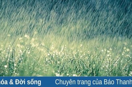 Giữa chúng ta là những cơn mưa...