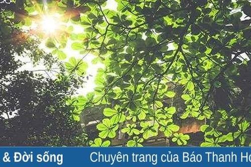 Còn trong vệt nắng tháng tư