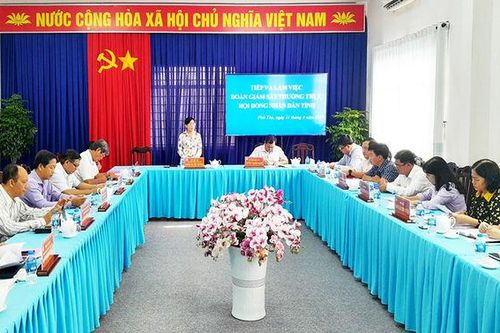 HĐND tỉnh An Giang giám sát trước kỳ họp giữa năm 2023