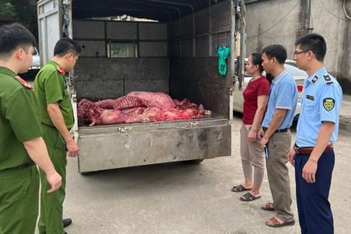 Vận chuyển hơn 2 tạ thịt lợn đang trong quá trình phân hủy, bốc mùi hôi thối đi tiêu thụ