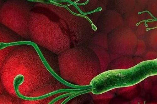 Dùng thuốc tạo màng bọc trong trị loét dạ dày do vi khuẩn H.Pylori