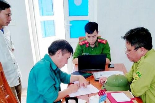Hà Tĩnh: Bị bắt khi đang chặt phá rừng trái phép