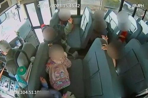 Tài xế ở Mỹ bị kiện với 29 cáo buộc vì phanh xe gấp để dọa học sinh