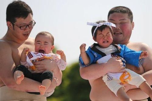 Lễ hội sumo dọa trẻ em khóc tái xuất tại Nhật Bản