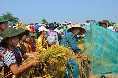 Đặc sắc lễ hội tôn vinh lúa nước