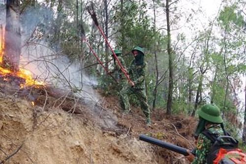 Lữ đoàn Công binh 414 (Quân khu 4) với nhiệm vụ 'chiến đấu thời bình'
