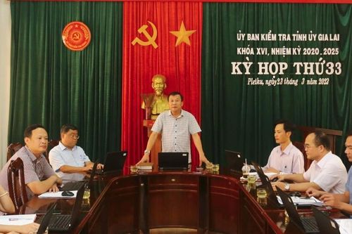 Gia Lai: Cảnh cáo phó trưởng công an huyện, khiển trách phó giám đốc sở