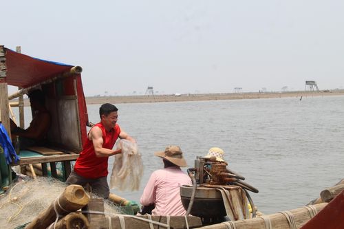 Ngư dân Thanh Hóa phấn khởi săn 'lộc biển'