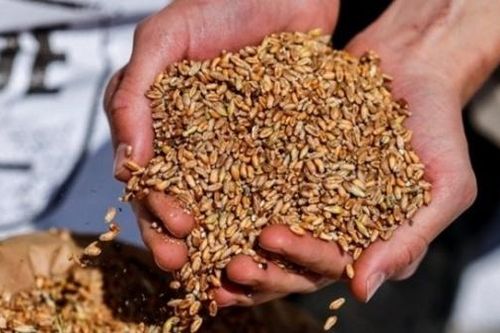 Ukraine: Sáng kiến 'làn đường đoàn kết' thành công ngoài mong đợi, 5 thành viên EU càng lo ngại, Tổng thống Zelensky vẫn miệt mài kêu gọi điều này