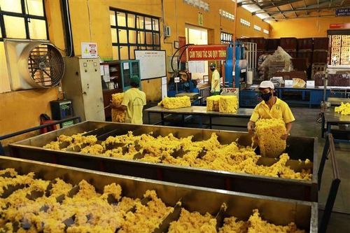 Nhiều công ty, tập đoàn cao su Đức muốn mở rộng hợp tác với Việt Nam